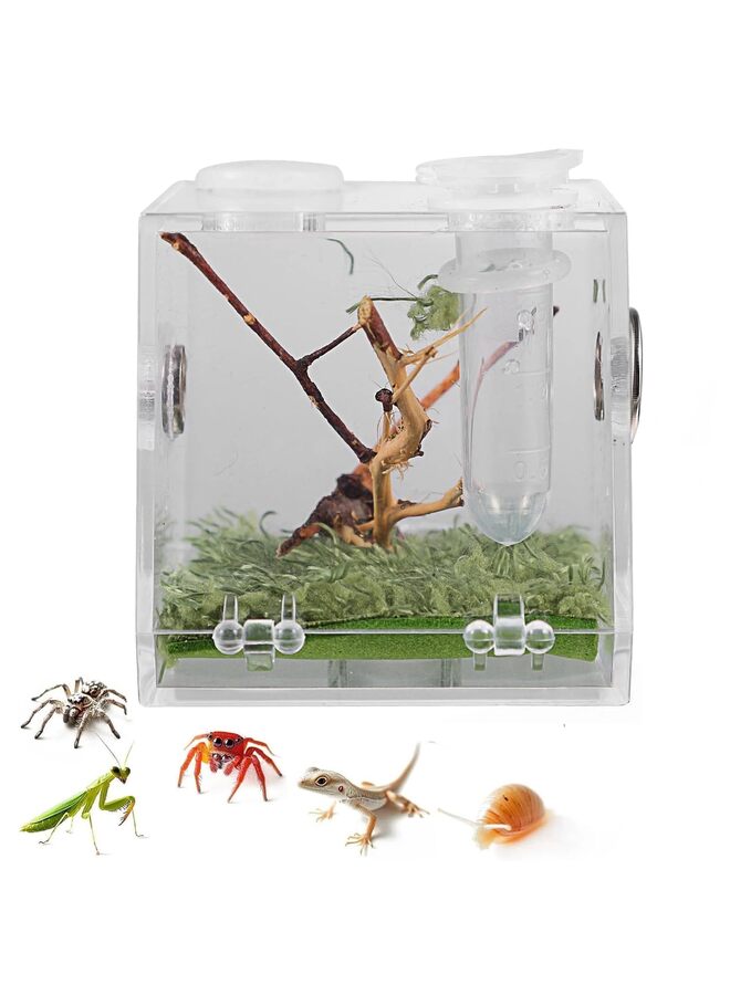 يُسلِّم حوض عناكب، صندوق تربية الزواحف، قفص عناكب قافزة، قفص صراصير، موطن عناكب الرتيلاء الشجرية (الحجم: متوسط) - Image 1